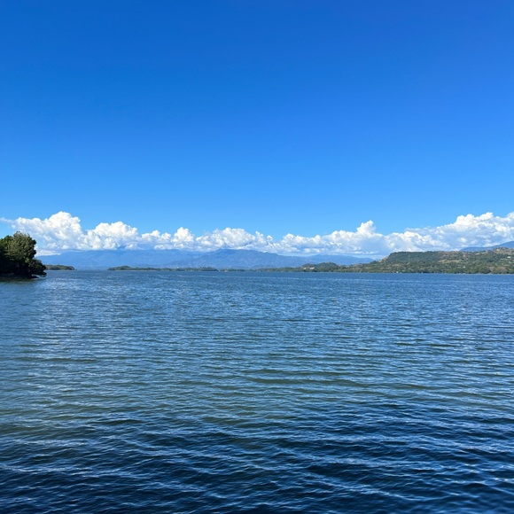 Meet your Posher, Sylvia - Picture 4 of 7